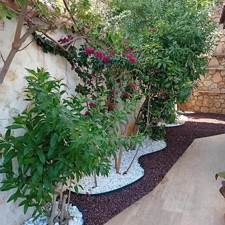 Sandarra Kalkan Villa *