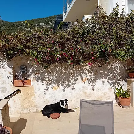 Sandarra Kalkan Kas